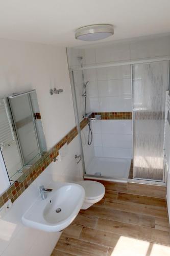 a bathroom with a toilet and a sink and a shower at Hotel Waldoza in Waldmohr