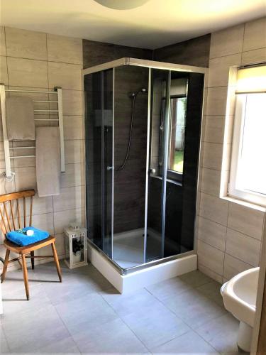 a shower with a glass door in a bathroom at Domek pod Lipą in Narol