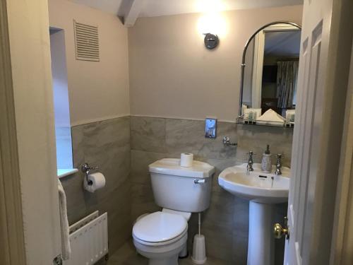 a bathroom with a toilet and a sink at Raheen House Hotel in Clonmel