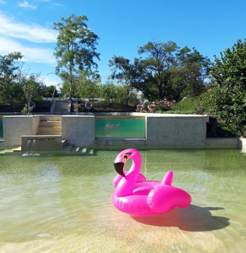 a pink flamingo in the water at a skate park at Agriturismo Cascina Madonnina in Pregnana Milanese