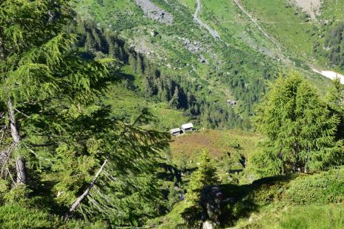a house on the side of a mountain with trees at Haus Mortna in Liesing
