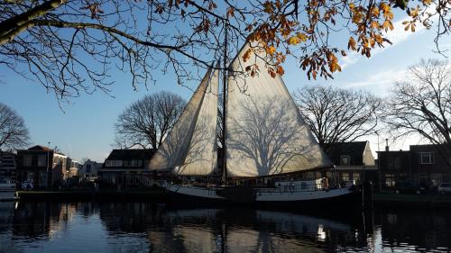 a boat with a sail in the water at Zeilschip De Vrouw Dina in Leiden