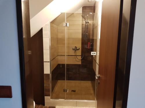 bagno con doccia e porta in vetro di Sklep u Čejků a Mutěnice