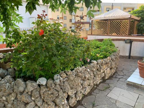 B & B Villa Fiorella – Photos 2