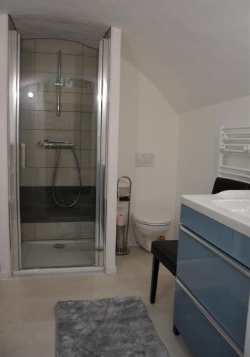 a bathroom with a shower with a sink and a toilet at Acacia in Vienne