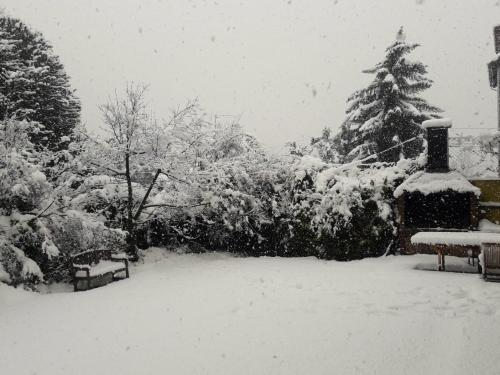 a snow covered yard with two benches and a tree at Periko´s Youth Hostel in San Carlos de Bariloche