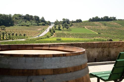 Monna Caterina Wine Resort – Photos 2