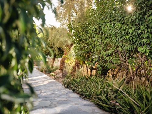 a stone path through a garden with trees at Nomas Living in Kalamaki