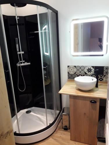 a bathroom with a shower and a sink at appartement 1ere étage dans maison individuelle in Saint-Jacques-sur-Darnétal