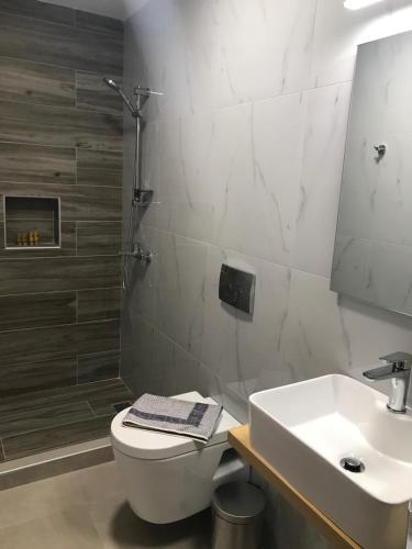 uma casa de banho com um WC e um lavatório em Galini Apartment's-Suites em Skalotí