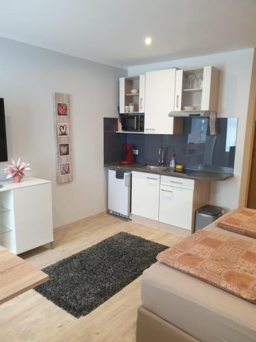 Η κουζίνα ή μικρή κουζίνα στο Hausner`s Hotel- Studio Apartments