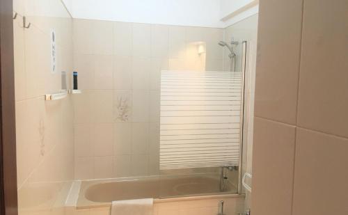 a bathroom with a tub and a shower with a window at APARTAMENTO LISBOA - REBOLEIRA in Amadora