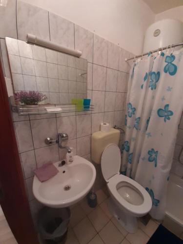 uma casa de banho com um lavatório, um WC e um chuveiro em Room Luka em Sveti Juraj