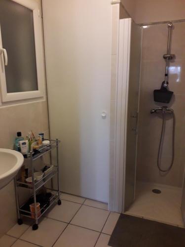 La salle de bains est pourvue d'une douche et d'un lavabo. dans l'établissement Appartement village Le Liberty 3 Argelès Sur Mer 2km plage, à Argelès-sur-Mer