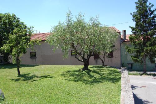 a yard with trees in front of a building at Apartma HIŠKA in Dobravlje