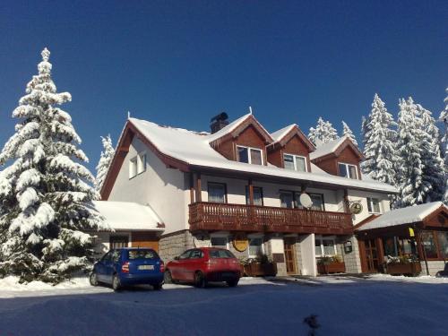a house with two cars parked in a snow covered yard at Penzion Pod Boubínem in Kubova Huť