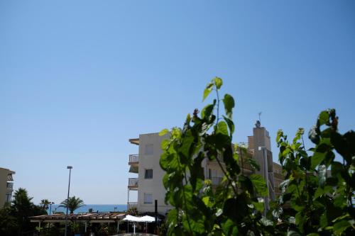 Apartaments Àlex