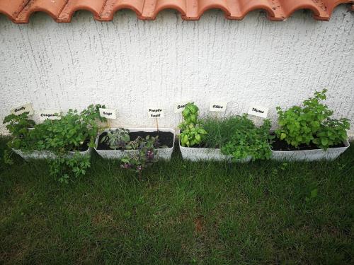 Afbeelding uit fotogalerij van Apartment Viti with garden and barbecue in Funtana