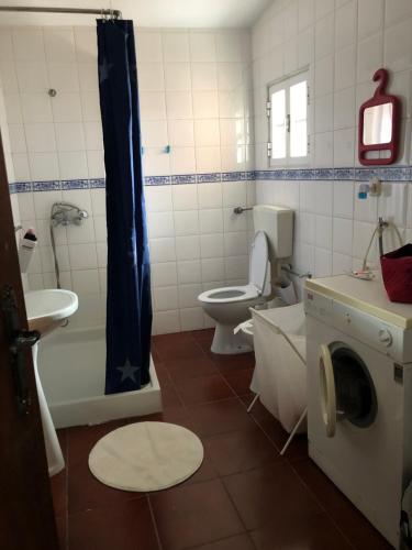 a bathroom with a toilet and a sink and a washing machine at Casa da Azinheira in Farelos de Baixo