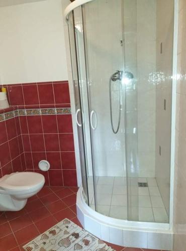 a bathroom with a shower and a toilet at Usedlost Pod lipou in Malá Morava