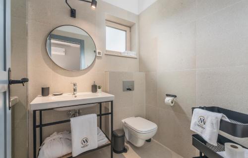 a bathroom with a sink and a toilet and a mirror at Martinela Villas Istria - Villa Vito in Barban