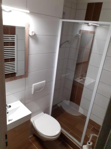 uma casa de banho com um WC, um chuveiro e um lavatório. em KARDOS APARTMAN em Csopak
