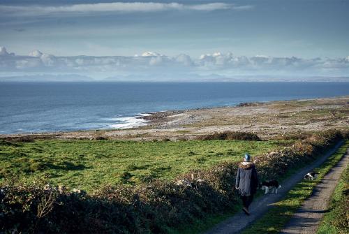 a person walking down a path with two dogs at The Sleepy Leprechaun in Doolin