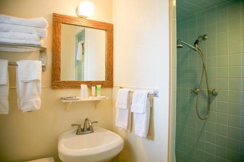 La salle de bains est pourvue d'une douche, de toilettes et d'un lavabo. dans l'établissement Shiner Country Inn, à Shiner