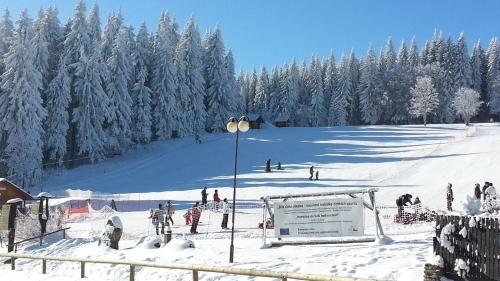 a group of people skiing down a snow covered slope at Penzion Pod Boubínem in Kubova Huť
