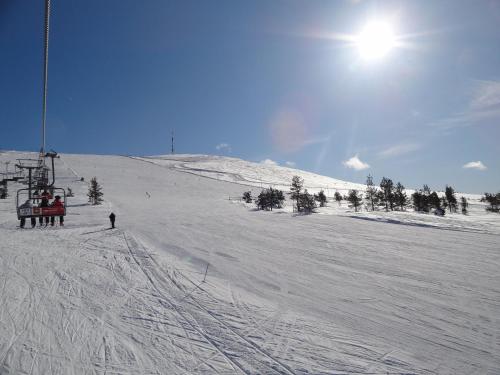 Gallery image of All Ice Lapland Chalets I in Ylläsjärvi