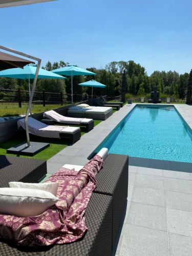 una piscina con sedie a sdraio e ombrelloni accanto ad essa di B&B La Douceur de la Miclette a Ellezelles