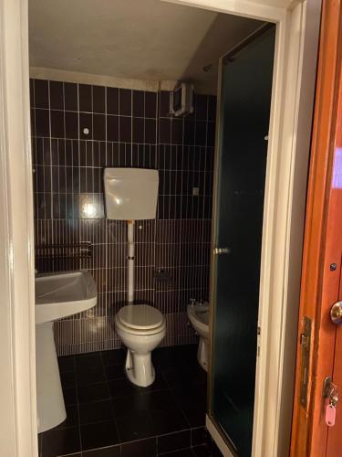 a small bathroom with a toilet and a sink at Maison de Vacances Rododendro in Breuil-Cervinia