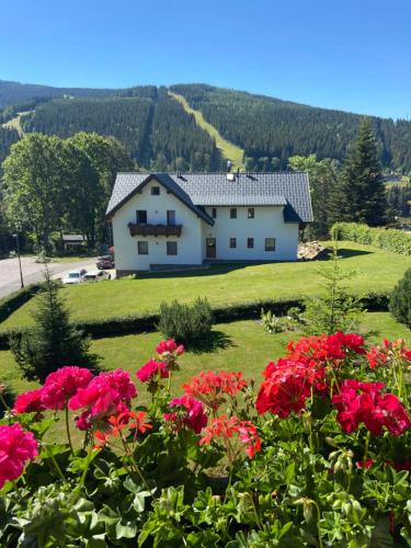 a house on a hill with flowers in the foreground at pension George in Špindlerův Mlýn