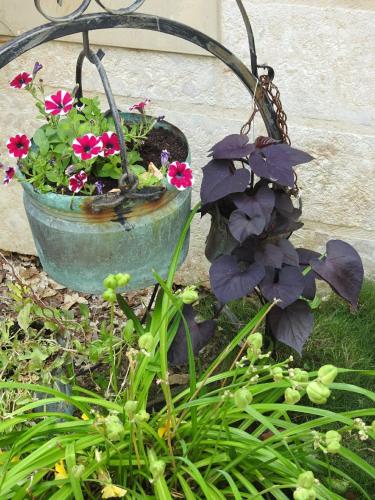 a flower pot with flowers in it in a garden at הים פוגש את ההר- בית בלב הגליל Sea & Mount in Adamit