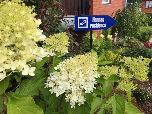 a blue sign in a garden with white flowers at Hanna's residence in Valmiera