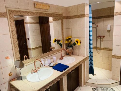 Koupelna v ubytování Penzion Na Růžku