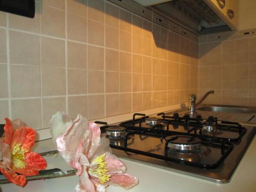 Una cocina o cocineta en Orchidea