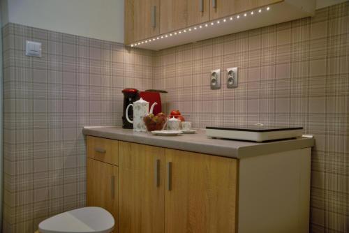 uma cozinha com um balcão e um WC num quarto em Friendly Place Doki em Gdańsk