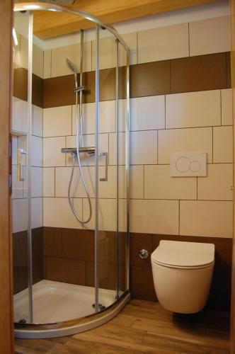 La salle de bains est pourvue d'une douche et de toilettes. dans l'établissement Apartma HIŠKA, à Dobravlje