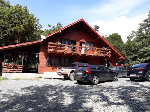 a log cabin with cars parked in front of it at Cabana Alpha in Baia Mare