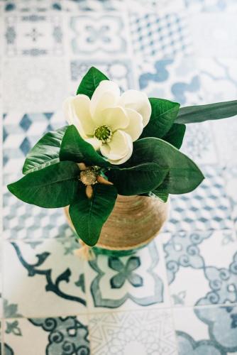 a white flower in a vase on a table at Amalfi Coast Holiday House in Scala
