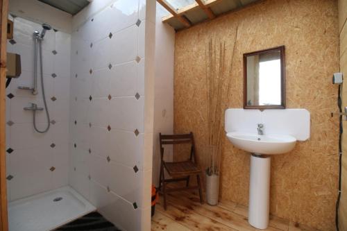 Noyal-Muzillacにあるcamping chez l'habitantの洗面台、シャワー、鏡を備えたバスルーム