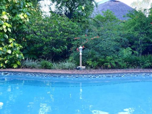 a small light next to a swimming pool at Shingalana Guest Lodge in Hazyview