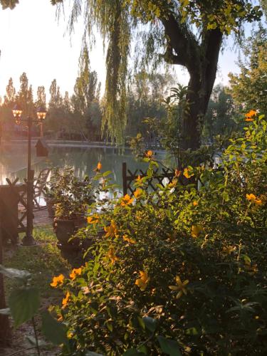 Κήπος έξω από το CHALET B&B LAGHETTI MARTINA