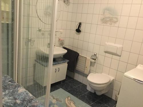 een badkamer met een toilet, een wastafel en een douche bij Süti Nyaraló in Balatonmáriafürdő