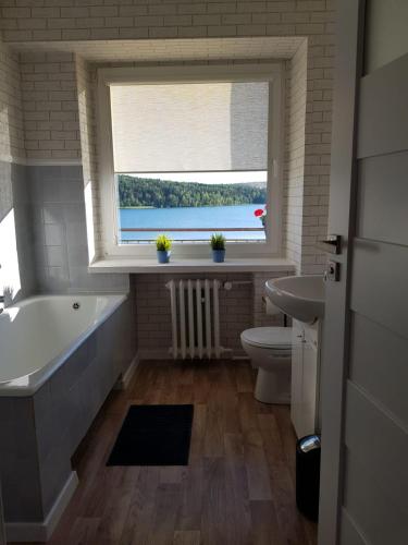 Gallery image of Apartament Aleksandra we Wielu z widokiem na jezioro in Wiele