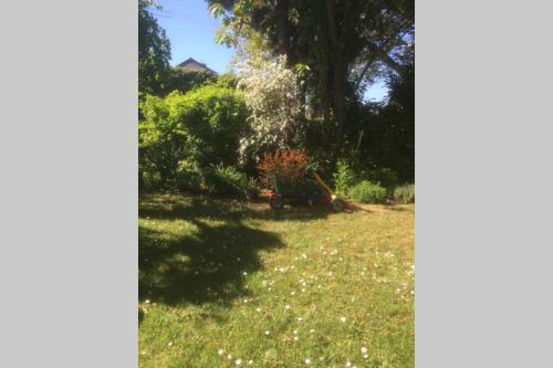 a yard with a tree and a swing at Biete ruhige Zwei-Zimmer Souterrain-Wohnung in Niederkassel