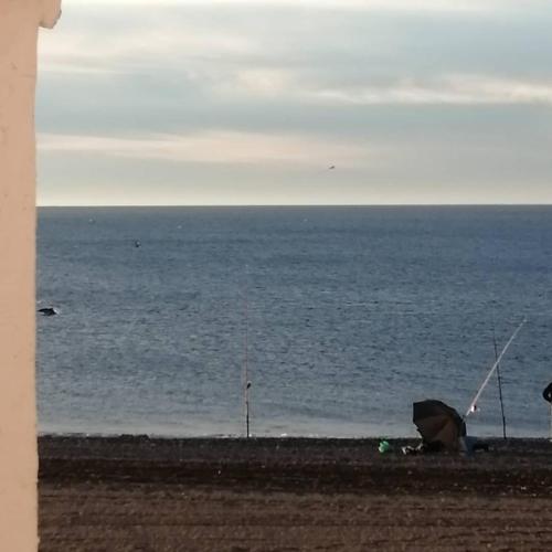 Sea shells at Bahia Dorada photo 49