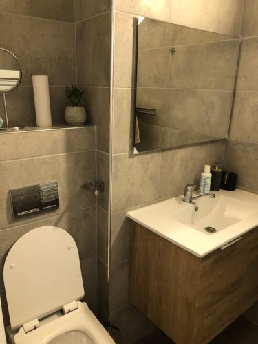 a bathroom with a toilet and a sink at Sweet li in Ashkelon