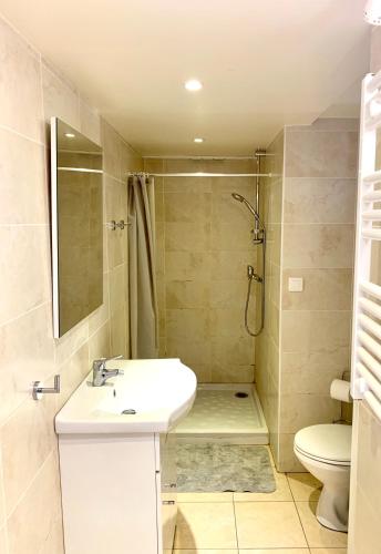 a bathroom with a sink and a shower and a toilet at Balea Gorri in Ciboure